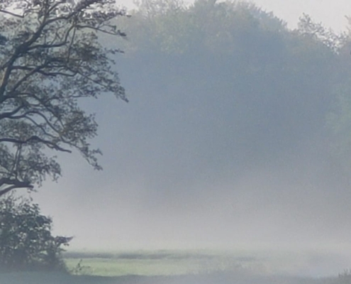 archetypische mist